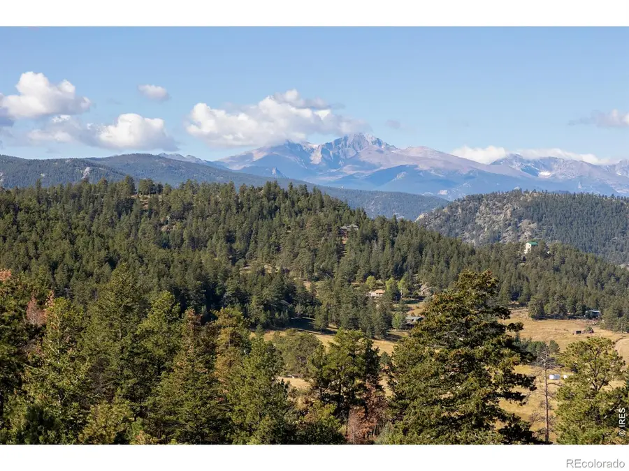 981 Palisade Mountain Drive, Drake, CO 80515 - #3