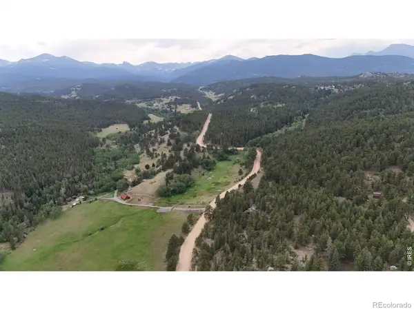 225 Bobcat Way, Ward, CO 80481