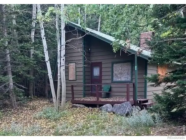 970 Bryan Avenue, Nederland, CO 80466