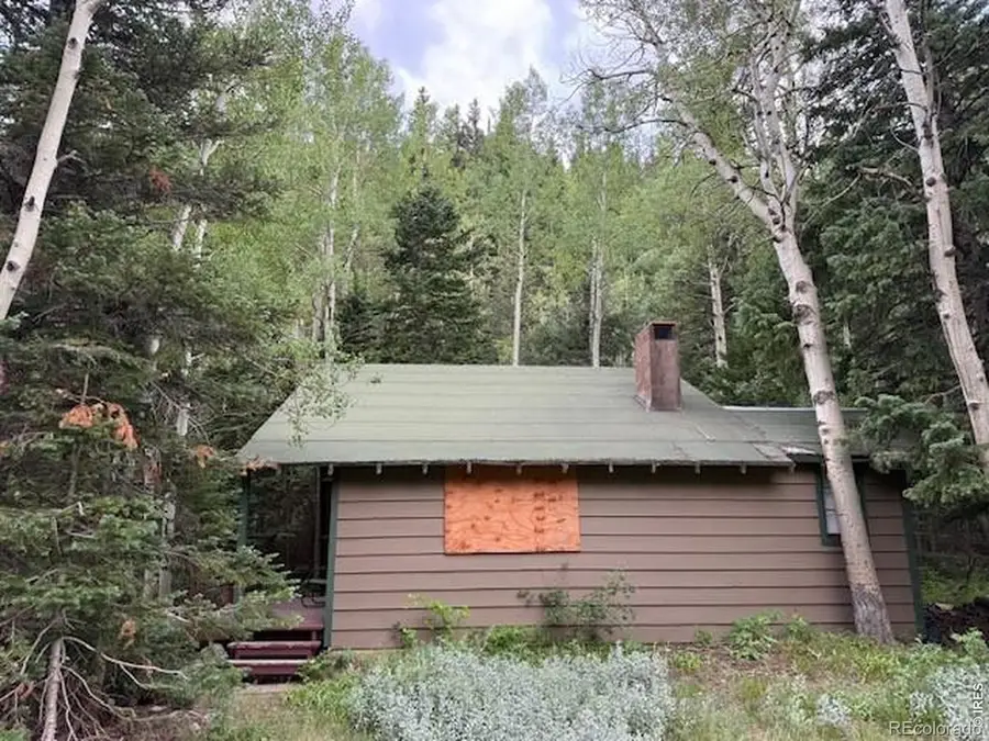 970 Bryan Avenue, Nederland, CO 80466 - #2
