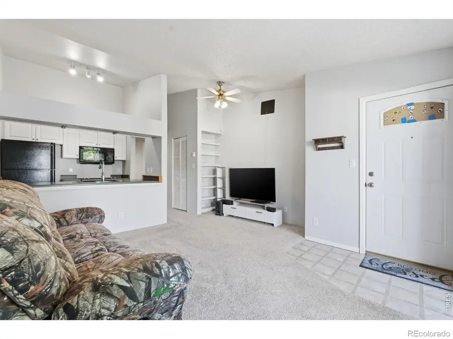 532 Oakwood Drive #E207, Castle Rock, CO 80104 - #2