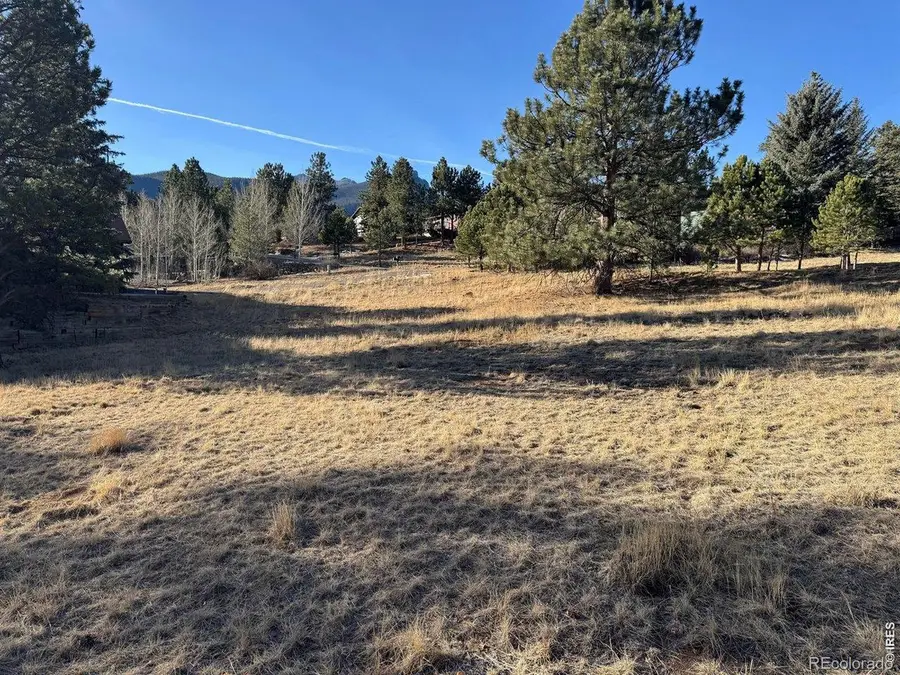 0 Wildwood Drive, Estes Park, CO 80517 - #3