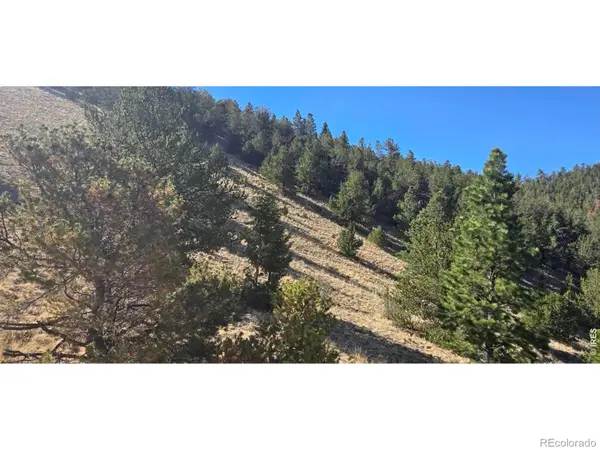 0 County Road 41g (camero Road), Center, CO 81125