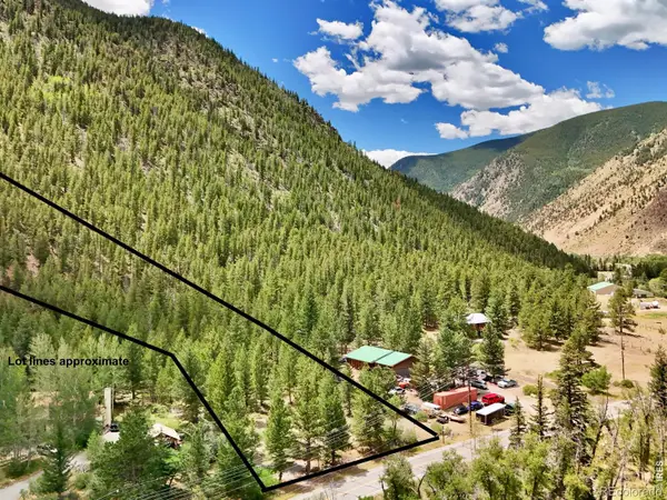 1944 Alvarado Road, Georgetown, CO 80444