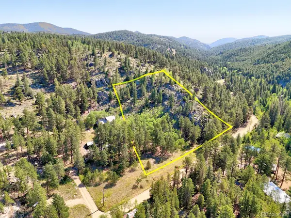 0 Cold Springs Road, Nederland, CO 80466