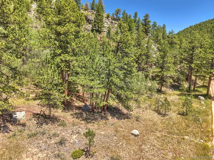 0 Cold Springs Road, Nederland, CO 80466 - #3