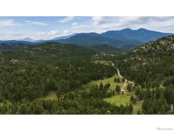 0 County Road 59, Allenspark, CO 80510