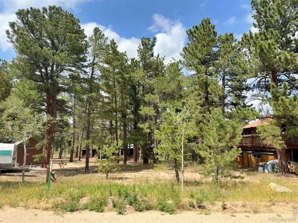 655 W Spruce Street, Nederland, CO 80466