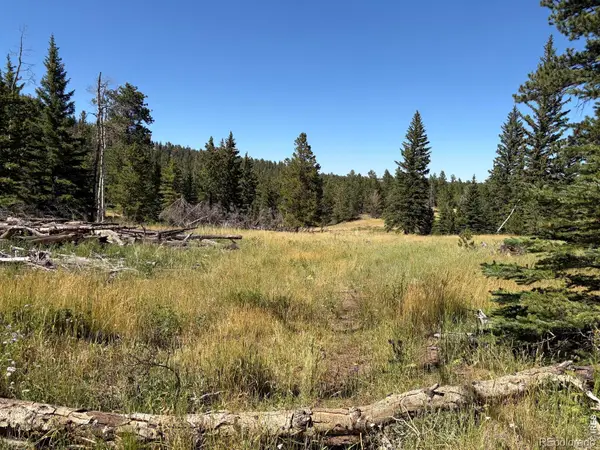 Pratt Creek Road, Livermore, CO 80536