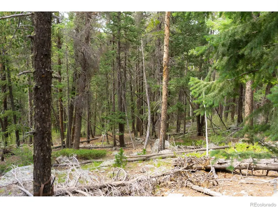 0 Twin Spruce Road, Golden, CO 80403 - #3