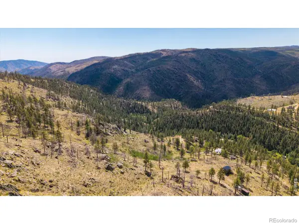 693 Cougar Drive, Bellvue, CO 80512