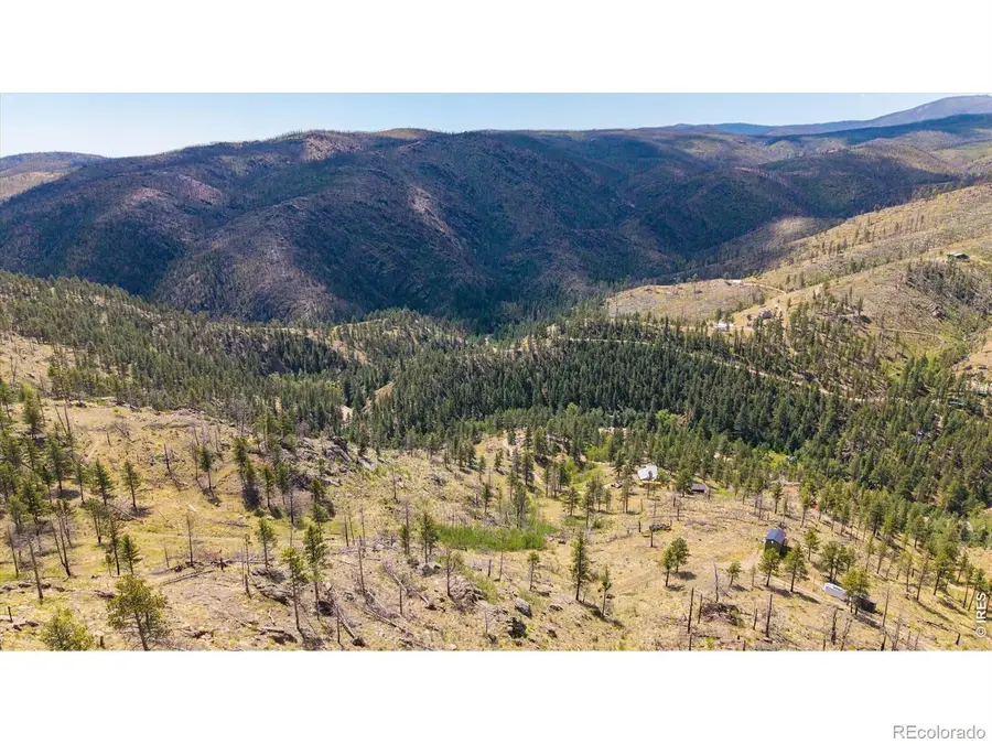 693 Cougar Drive, Bellvue, CO 80512 - #2