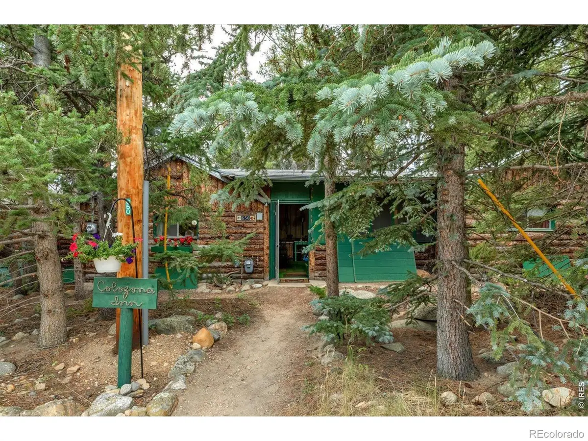 650 W Pine Street, Nederland, CO 80466 - #1