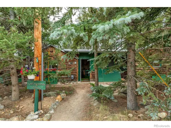 650 W Pine Street, Nederland, CO 80466