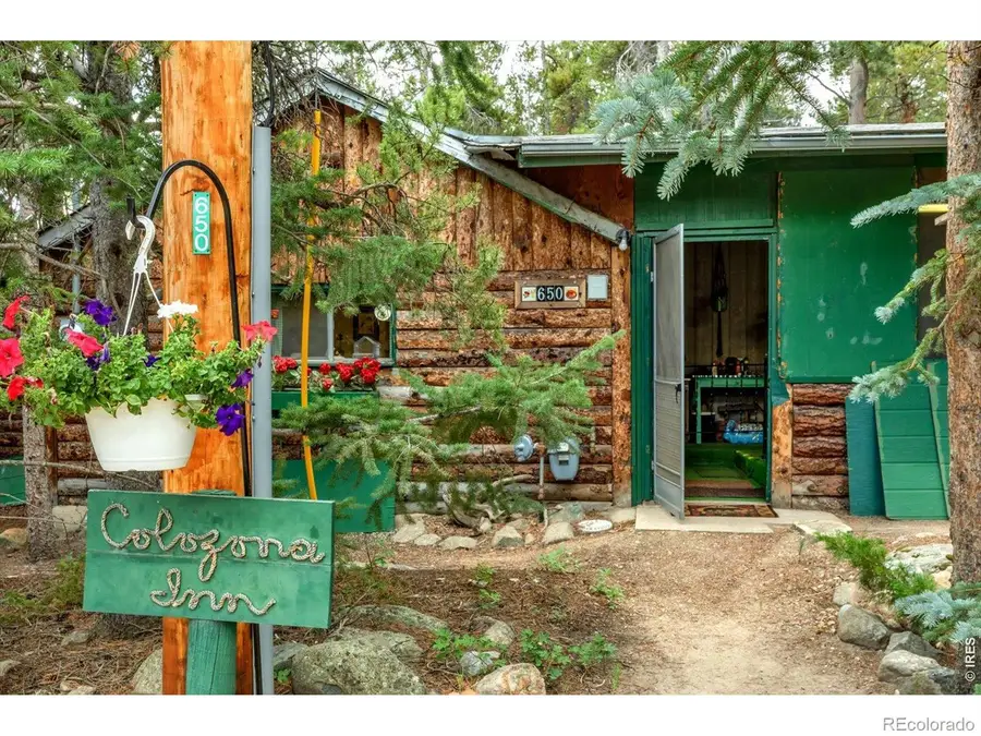 650 W Pine Street, Nederland, CO 80466 - #2