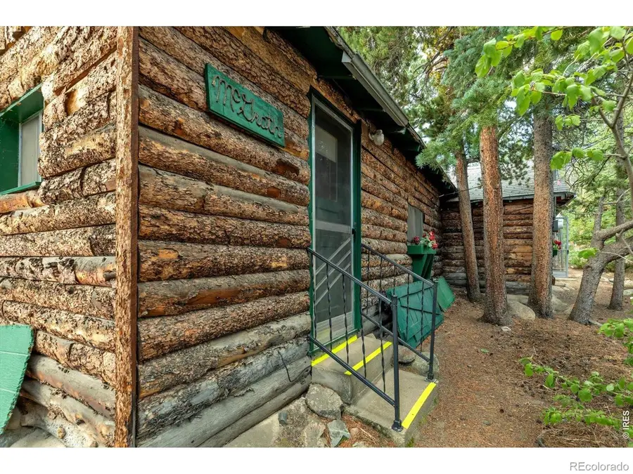 650 W Pine Street, Nederland, CO 80466 - #3