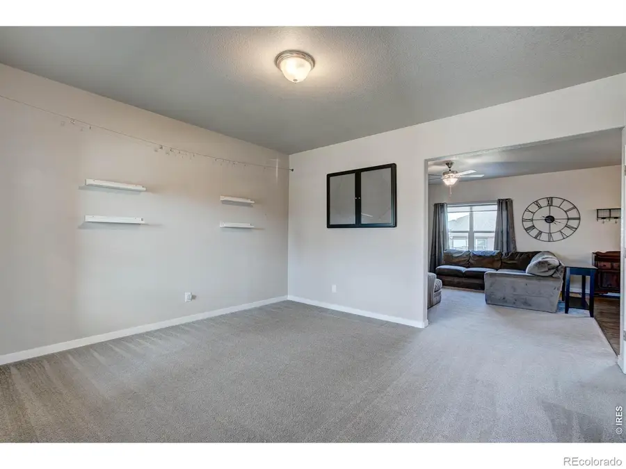 2137 Honeybee Drive, Windsor, CO 80550 - #3