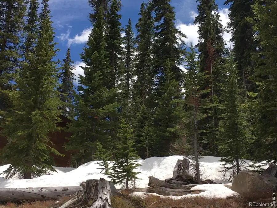 465 Quandary View Drive, Breckenridge, CO 80424 - #2