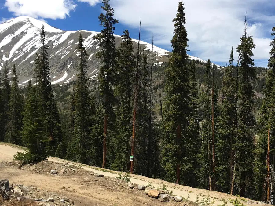 465 Quandary View Drive, Breckenridge, CO 80424 - #3
