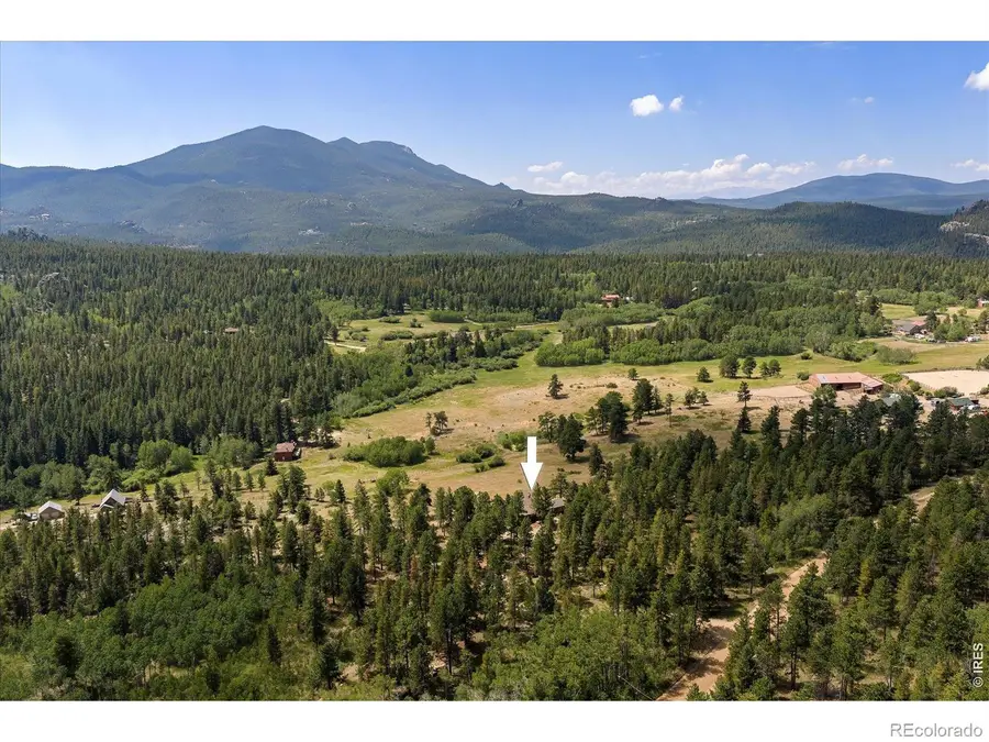 1650 Lazy Z Road, Nederland, CO 80466 - #3