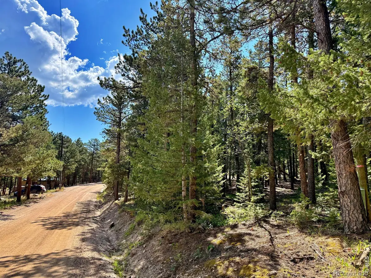312 Ridge Road, Ward, CO 80481 - #1