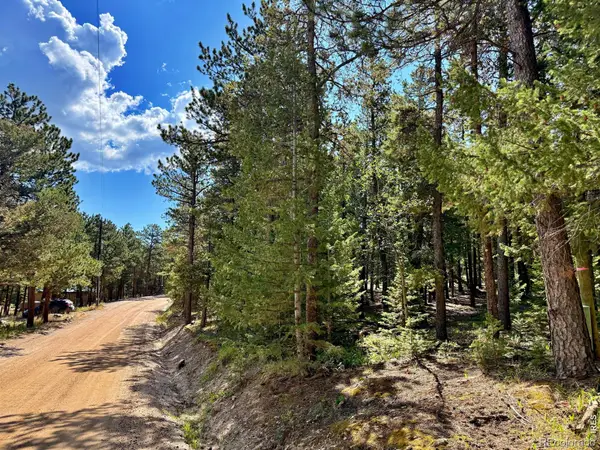312 Ridge Road, Ward, CO 80481