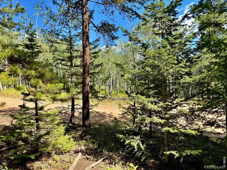 312 Ridge Road, Ward, CO 80481 - #2