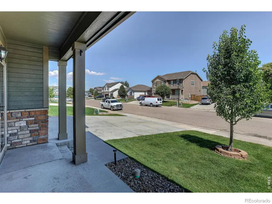 3657 Torch Lily Street, Wellington, CO 80549 - #3