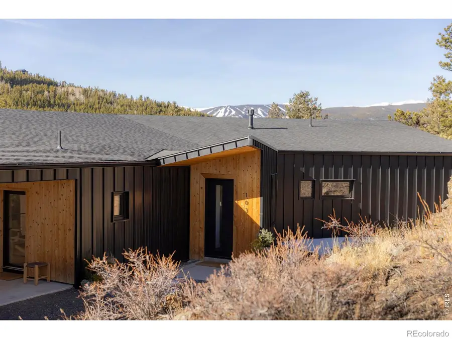 103 W Wildewood Drive, Nederland, CO 80466 - #2