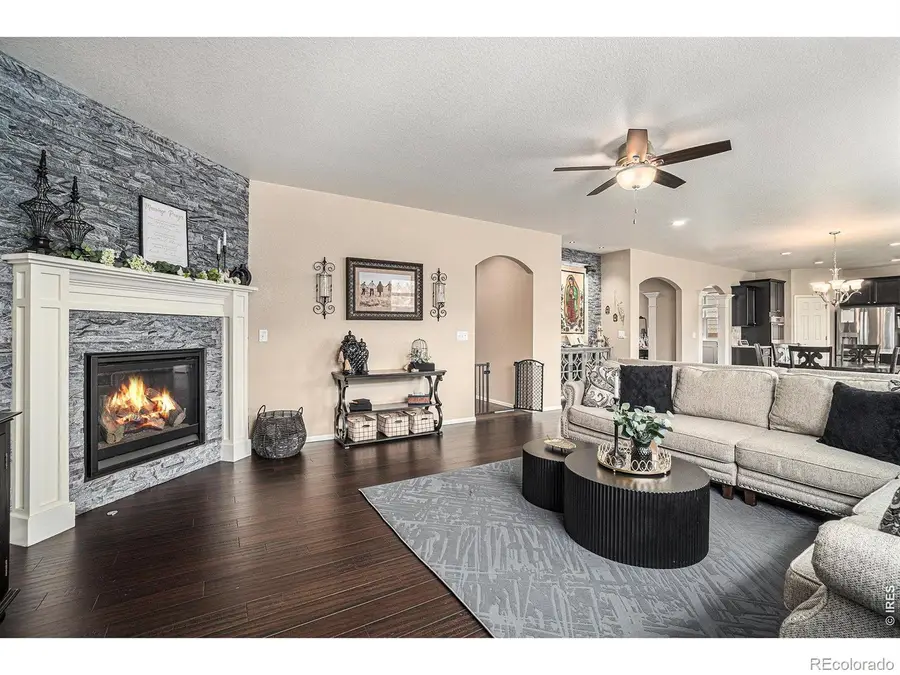 2163 Longfin Drive, Windsor, CO 80550 - #2