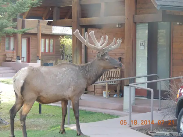 1565 Highway 66 #49, Estes Park, CO 80517