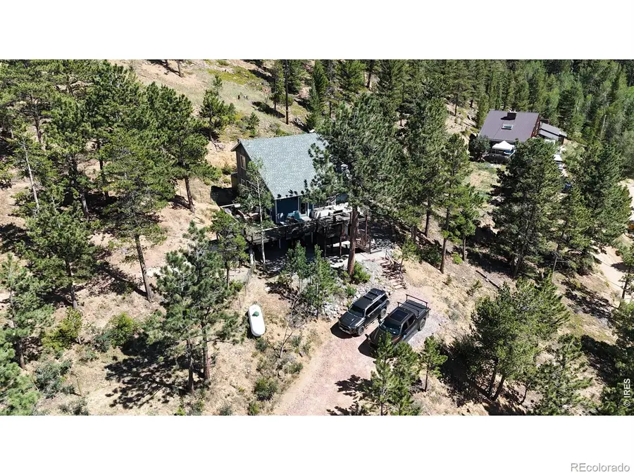 230 Alpine Drive, Nederland, CO 80466 - #2