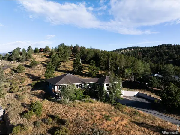 131 Hurricane Hill Drive, Nederland, CO 80466
