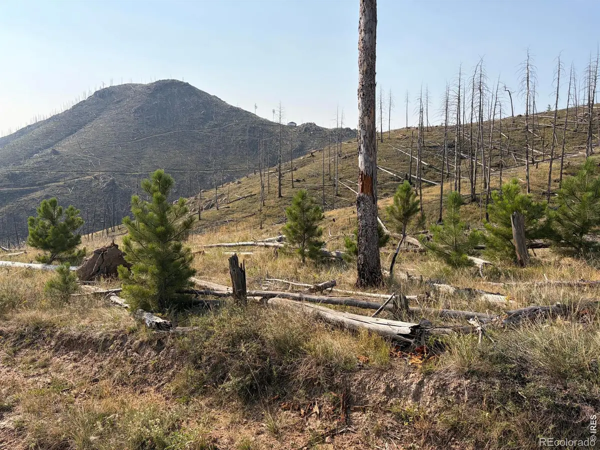 0 Pine Acres Road, Bellvue, CO 80512 - #1