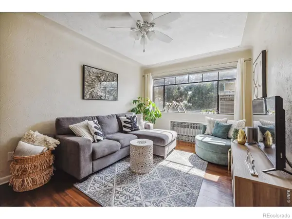 1130 N Pennsylvania Street #307, Denver, CO 80203