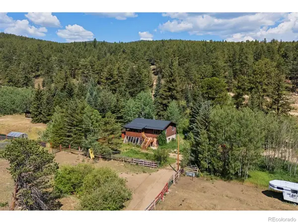 425 Caribou Road, Nederland, CO 80466