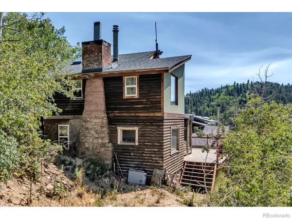 13 Modoc Street, Ward, CO 80481