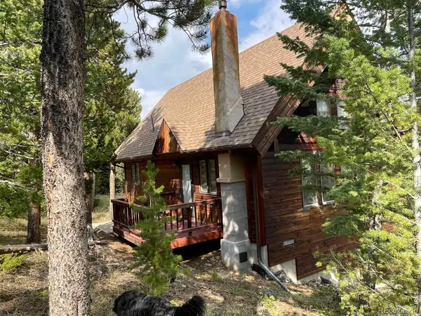 785 S Skinner Road, Allenspark, CO 80510