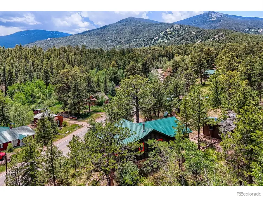 449 Highway 7 Business, Allenspark, CO 80510 - #3