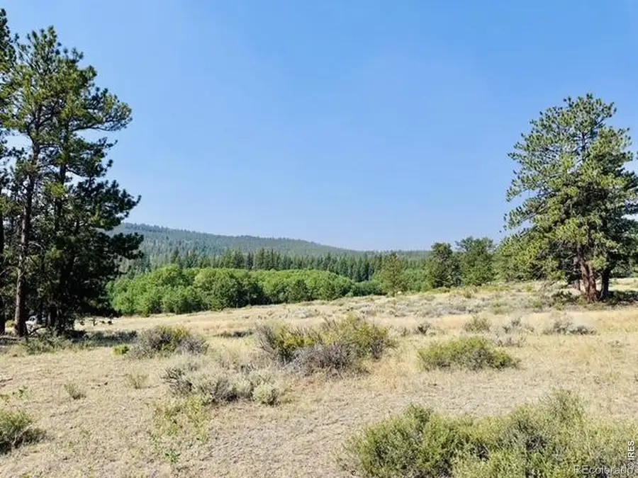 21424 W County Road 80c, Livermore, CO 80536 - #3