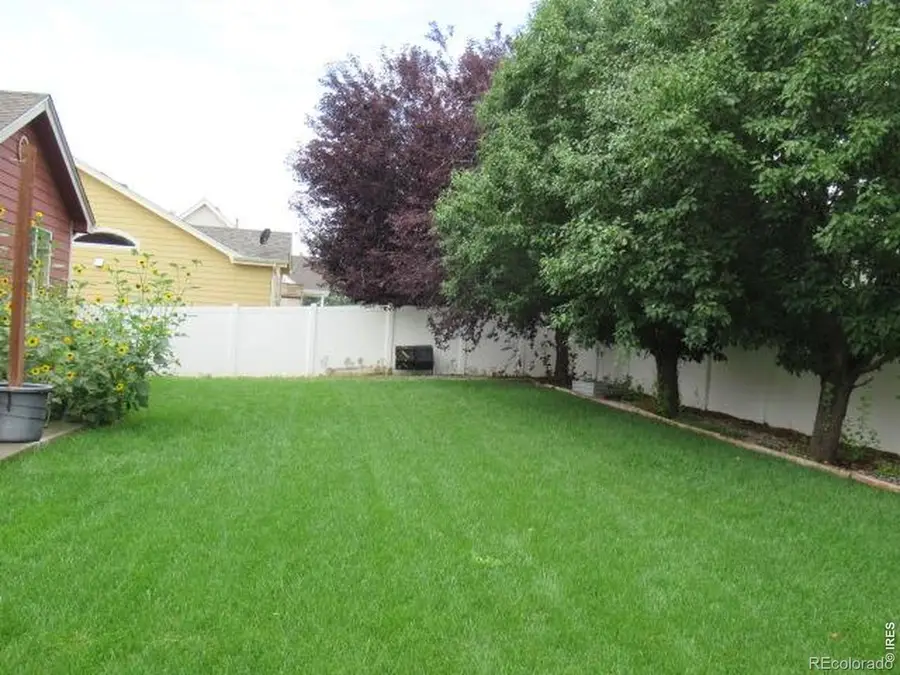 3946 Mount Oxford Street, Wellington, CO 80549 - #2