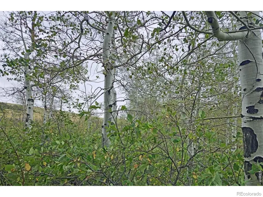 1245 Plano Road, Livermore, CO 82070 - #3