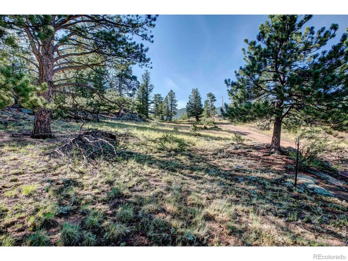 2710 Sunset Lane, Estes Park, CO 80517 - #1