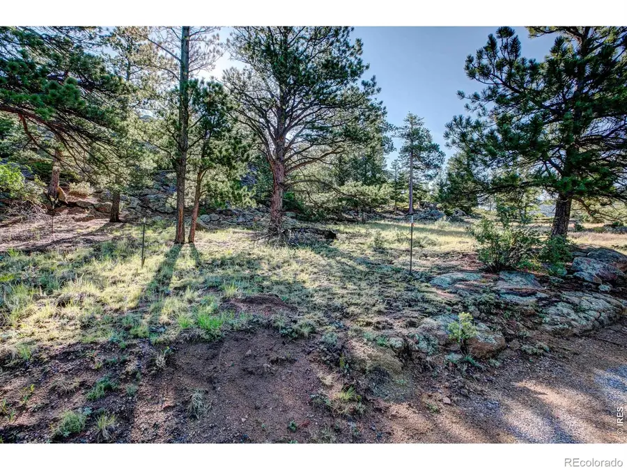 2710 Sunset Lane, Estes Park, CO 80517 - #3