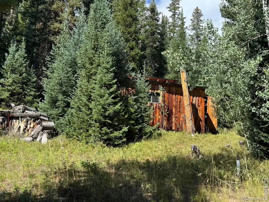 67 Alpine Lane, Walden, CO 80430 - #2