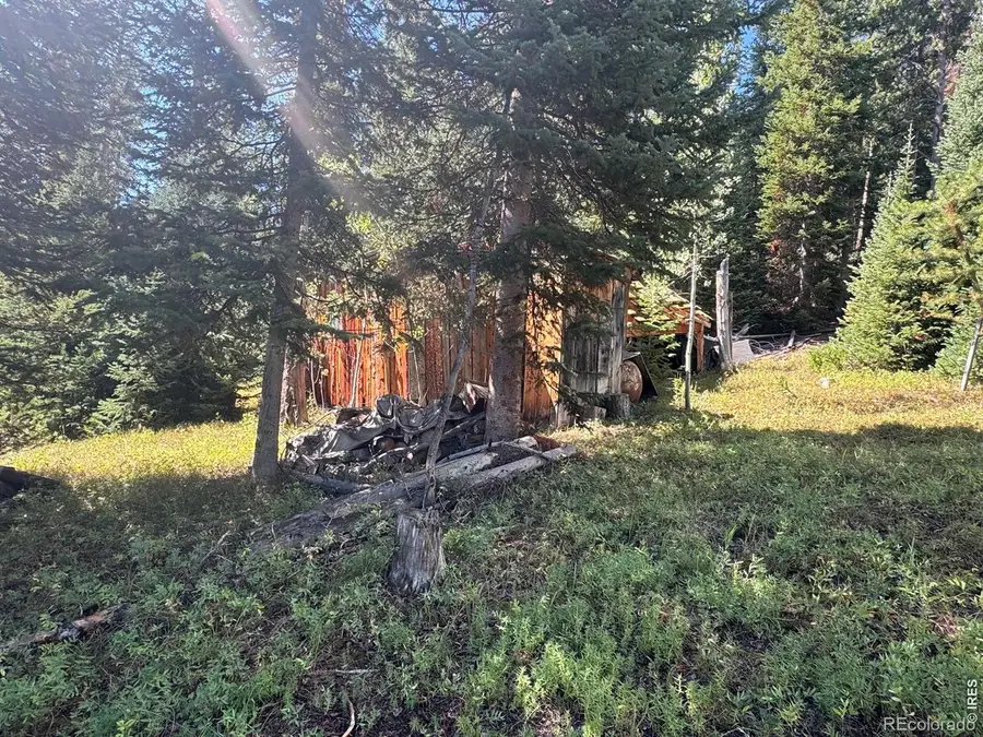 67 Alpine Lane, Walden, CO 80430 - #3