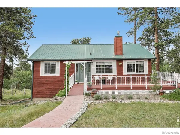 278 Overlook Drive, Bailey, CO 80421