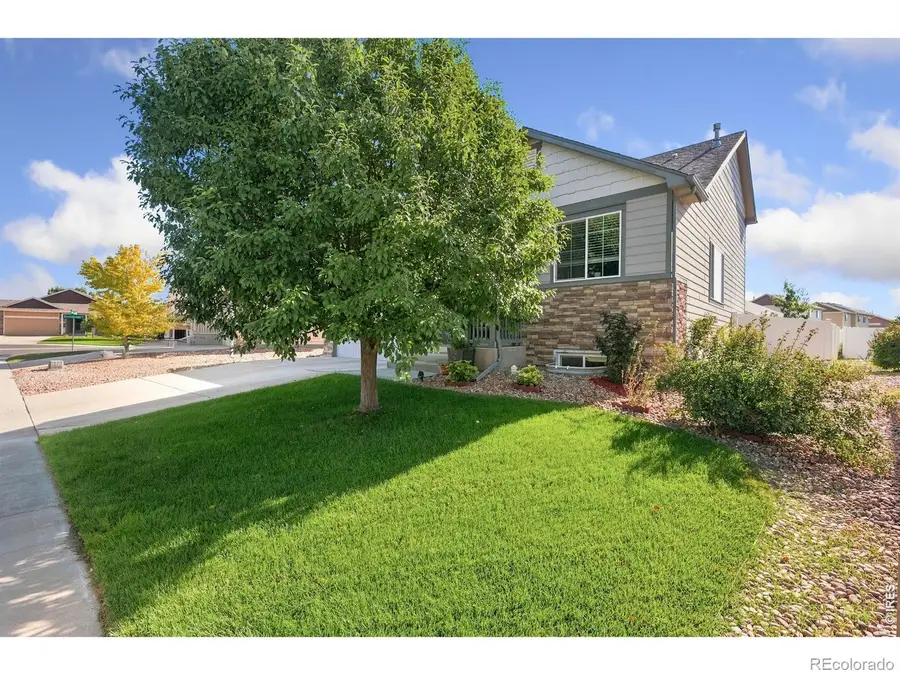 375 Shadowbrook Drive, Windsor, CO 80550 - #2