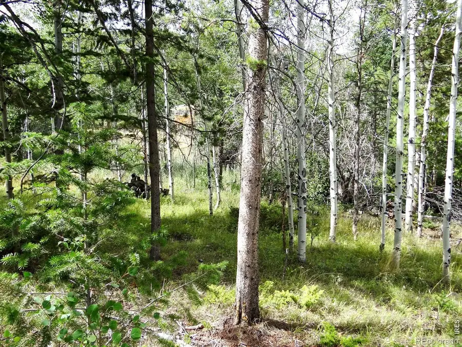 171 Spokane Court, Red Feather Lakes, CO 80545 - #3