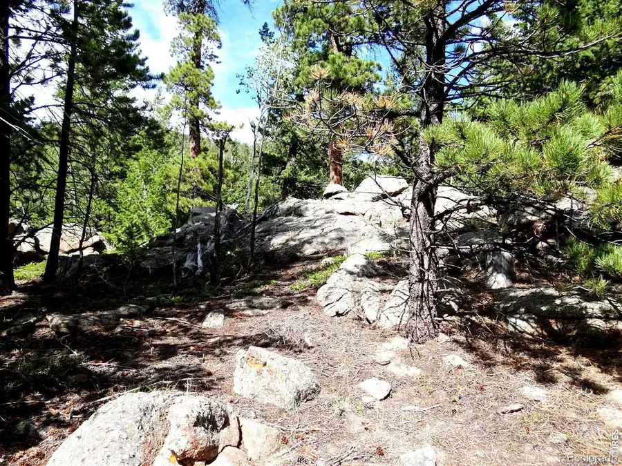 115 Wenro Court, Red Feather Lakes, CO 80545 - #2